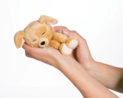 Nici -Nici 45371 12 image 2048x1638