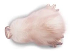 Nici 46631 Lifestyle Duck Ente Emmalina Altrosa 20cm Liegend Plüsch Kuscheltier -Nici 46631 04 ZA Frei 2048x1463