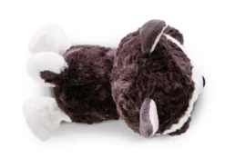 Nici 46926 Glubschis Cute Husky Barkley Liegend 25cm Plüsch Kuscheltier 8 Nici 46926 Glubschis Cute Husky Barkley Liegend 25cm Plüsch Kuscheltier -Nici 46926 03 ZA Frei 2048x1439