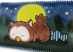 Nici 47879 Kissen Eule Oscar Schlafend Glow In The Dark 43x25cm Plüsch Owlsons 8 Nici 47879 Kissen Eule Oscar Schlafend Glow In The Dark 43x25cm Plüsch Owlsons -Nici 47879 04 ZA Frei 2048x1451