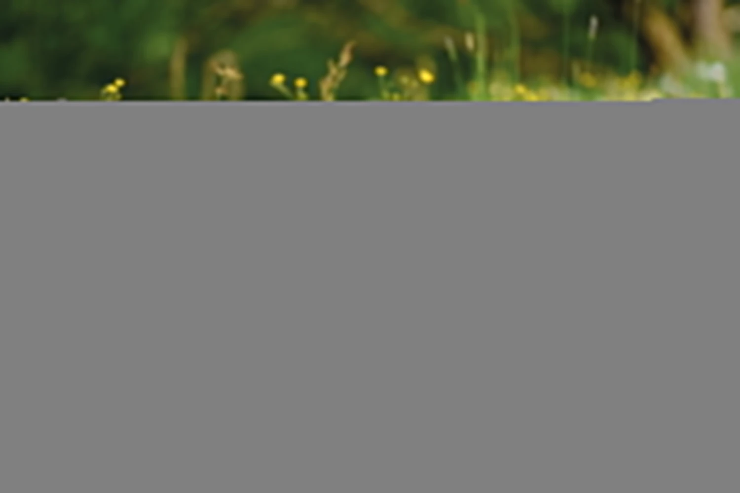 Nici 48605 Alpaka Chic Paka 25cm Stehend Plüsch Kuscheltier GREEN 5 Nici 48605 Alpaka Chic Paka 25cm Stehend Plüsch Kuscheltier GREEN – Bild 5