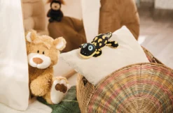 Nici 48780 Salamander Don Fuego Ca 25cm Plüsch Kuscheltier GREEN Classic Bear 11 Nici 48780 Salamander Don Fuego Ca 25cm Plüsch Kuscheltier GREEN Classic Bear -Nici 48775 14 48782 Milieu 2048x1342